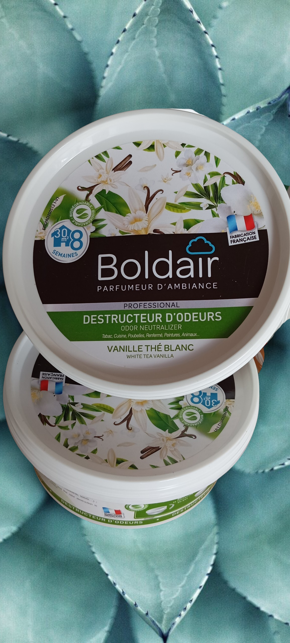 Boldair destructeur d'odeurs en gel
